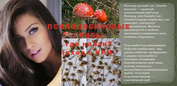 эйфоретик Балахна