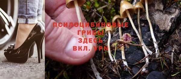 эйфоретик Балахна